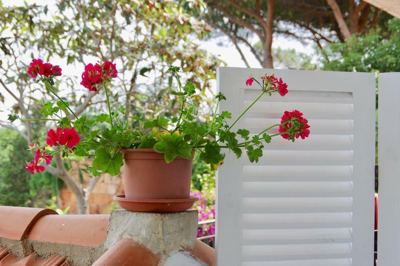 Casa Sulla Spiaggia- Mortelle Messina Dış mekan fotoğraf